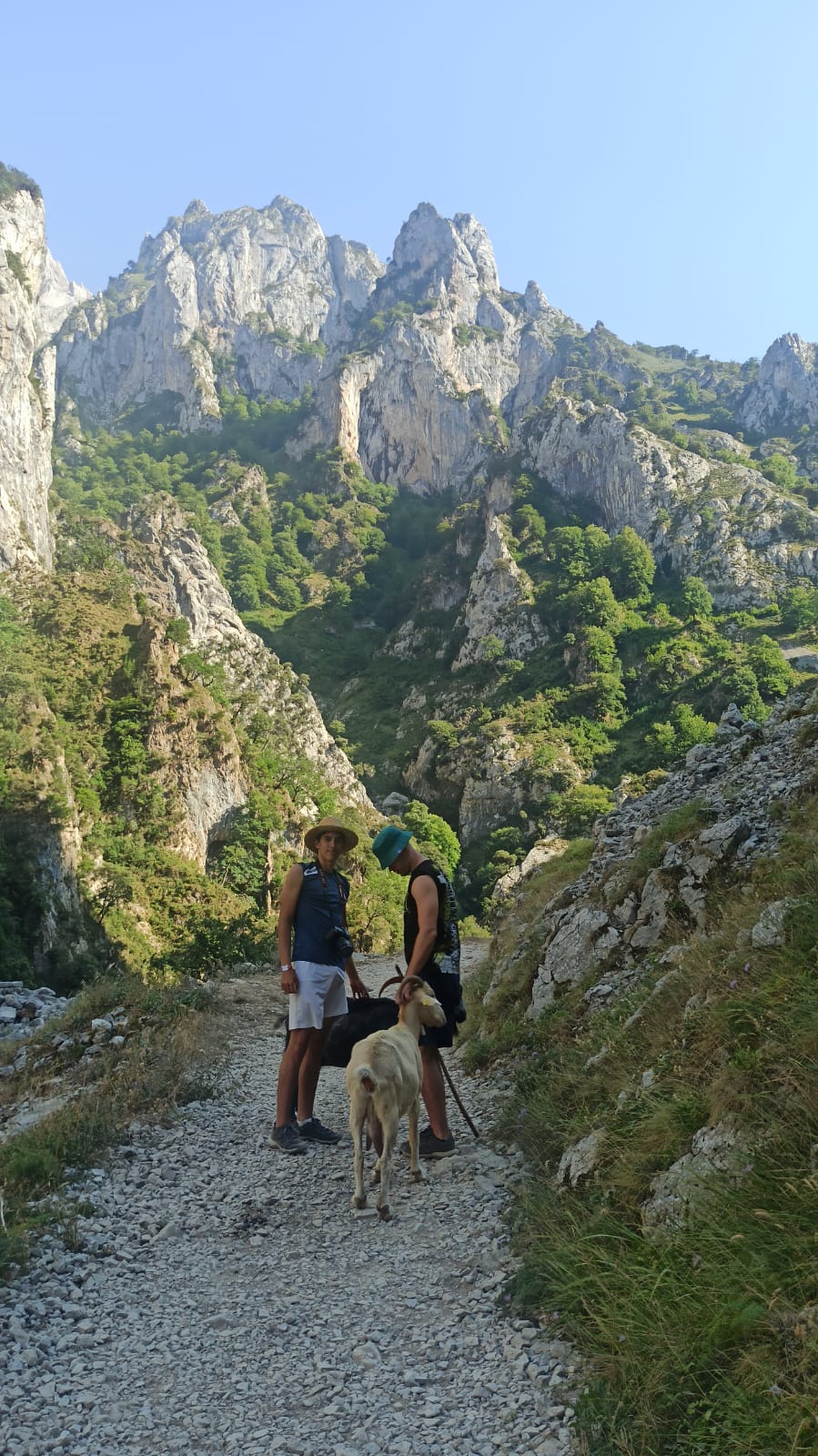 hiking2